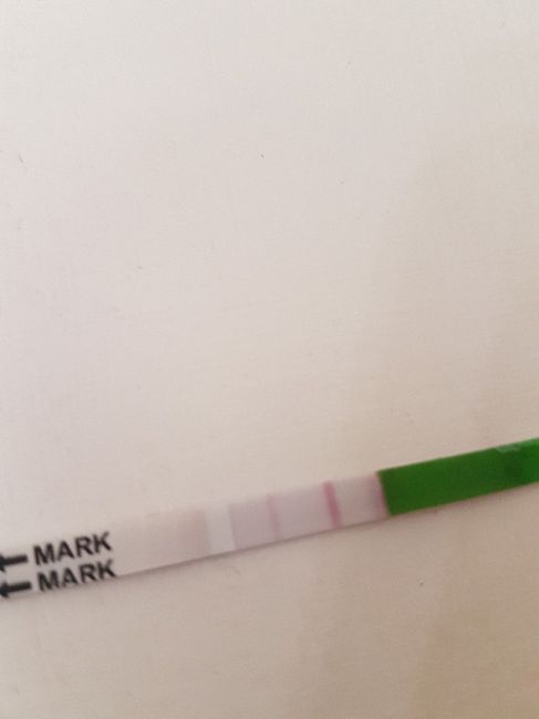  Test canadesi ovulazione - 1