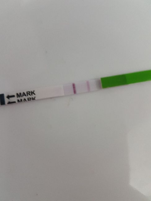 Stick ovulazione interpretazione 2