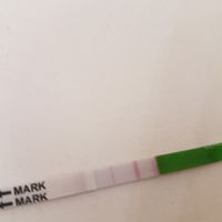  Test canadesi ovulazione - 1