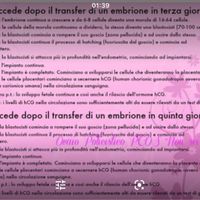 Fecondazione assistita: chi di voi? - 1