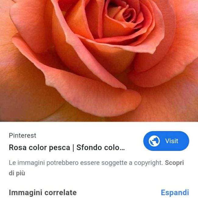 Colore per il matrimonio - 1