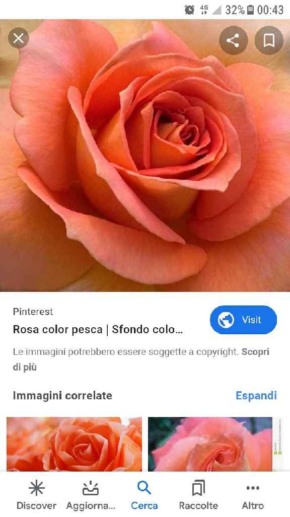 Che colore avete scelto x il matrimonio ?? - 1