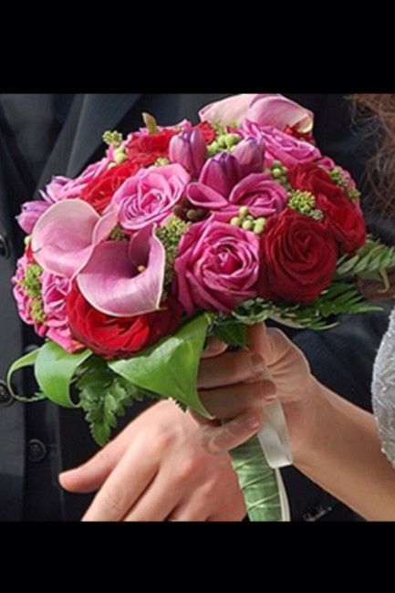 Tema "lilly e il vagabondo" - 2