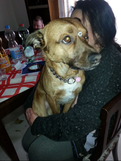 I nostri cuccioli!!! - 2