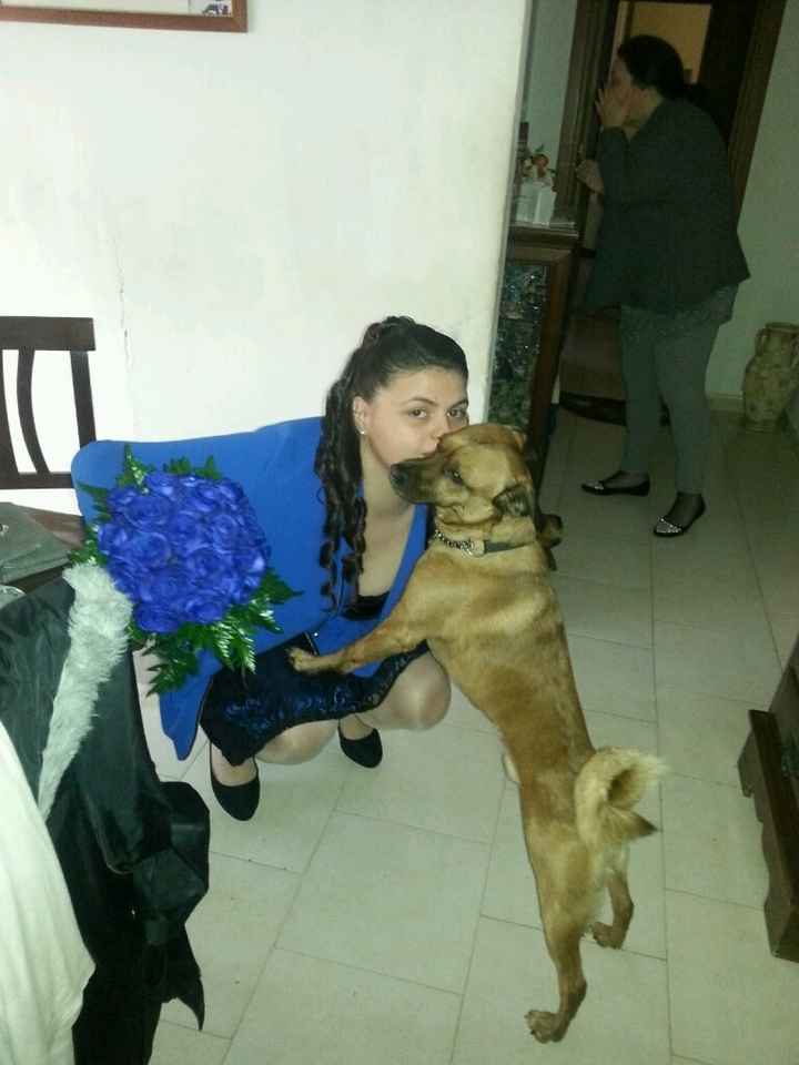 Le foto con i nostri pelosoni - 1