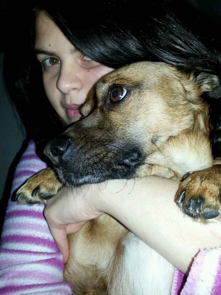 Le foto con i nostri pelosoni - 2