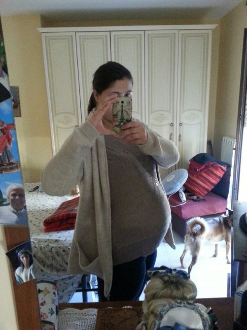 Pancine/pancione entrate <img class=