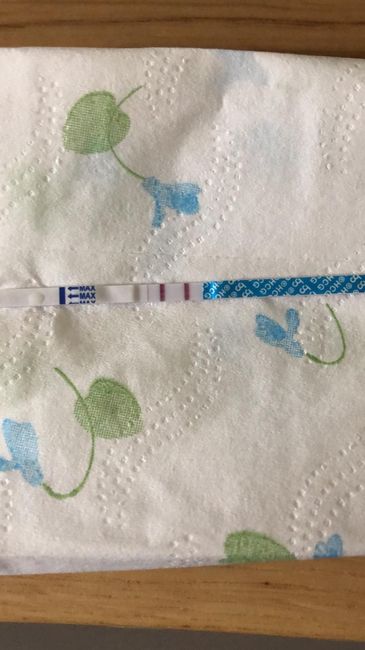 Test di gravidanza canadese...quando farlo? - 1