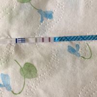 Test di gravidanza canadese...quando farlo? - 1