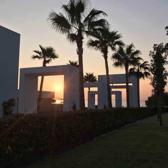 Dominika & Ignazio 2020 27