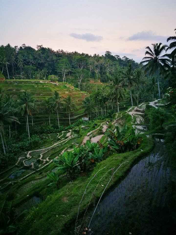 Bali!!! - 7