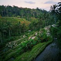 Bali!!! - 7