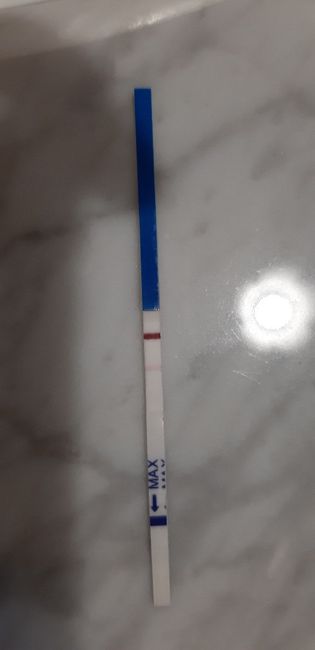 Positivo o negativo? - 1