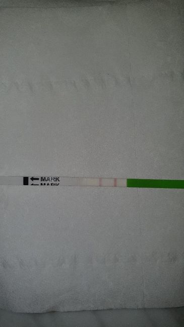 Test d ovulazione 1