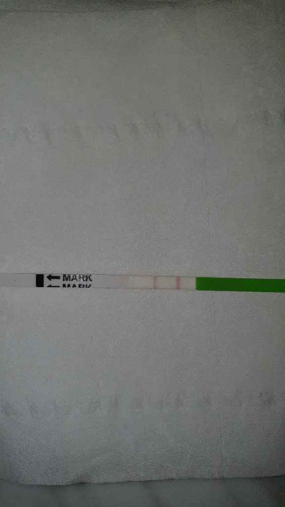 Test d ovulazione - 1