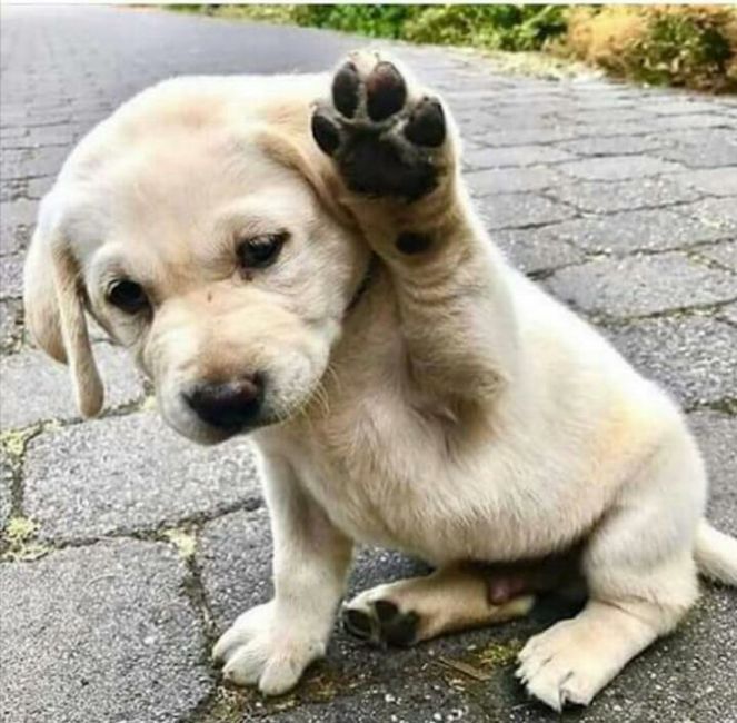 Postate una foto di voi due 👇 - 1