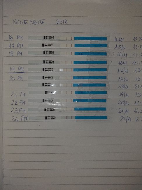 Help test canadesi one step... 4