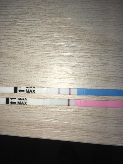 Test ovulazione positivo test gravidanza bianchissimo - 1