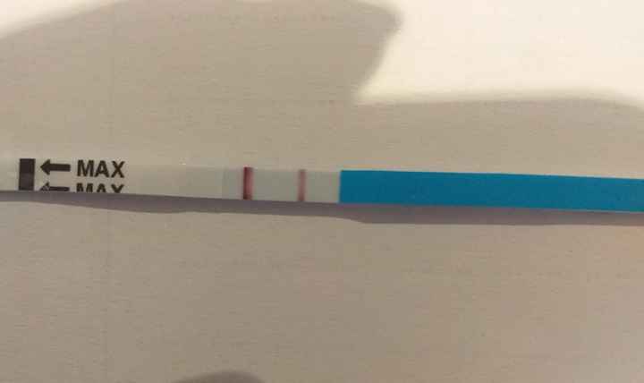 Test ovulazione positivo test gravidanza bianchissimo - 1