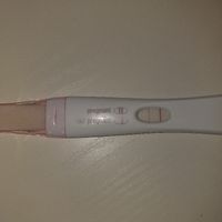 Positivo o ghost line? - 1