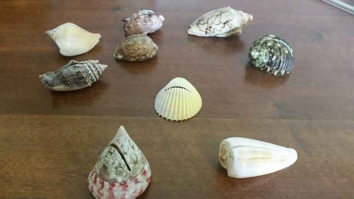 Segnaposti tema mare... - 1