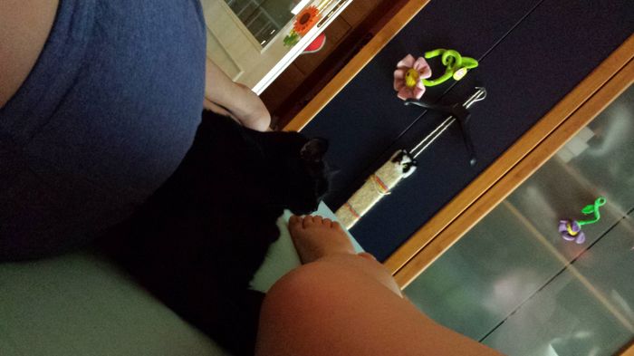 Vi presento rocco! - 1