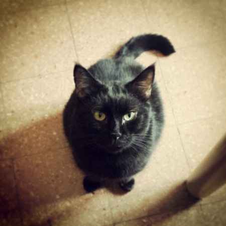 Raccolta di foto con i nostri animali - 5