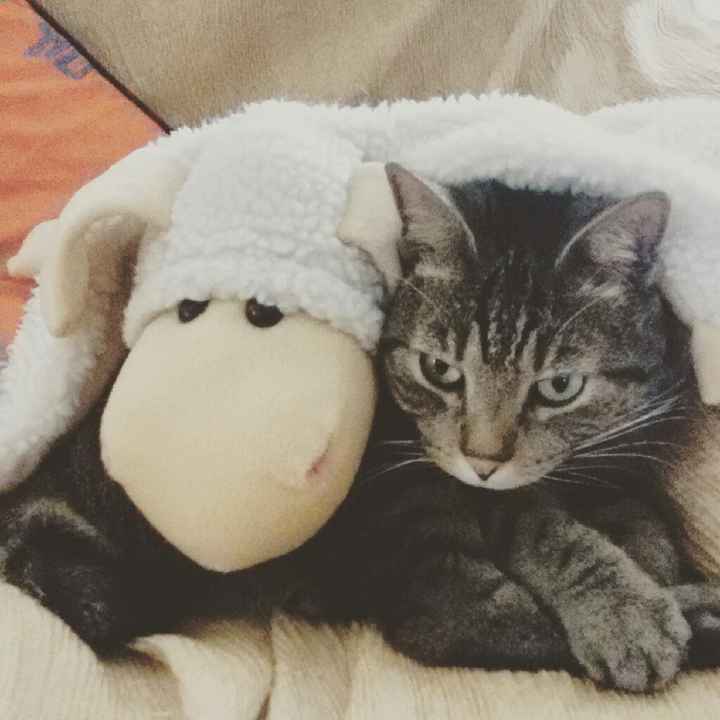 Vi presento nina! - 2