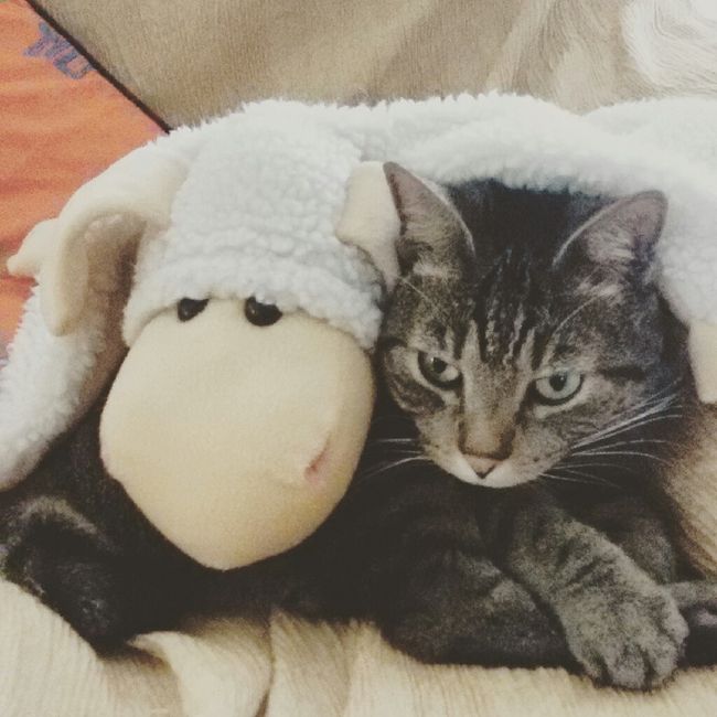 Vi presento nina! - 2