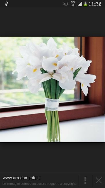 Agapanthus bianchi.. vi piacciono? - 1