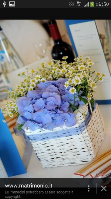 Fiori blu...consigli?! - 2