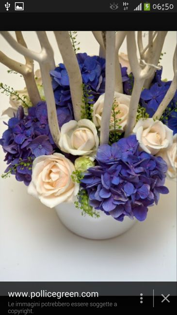 Fiori blu...consigli?! - 3