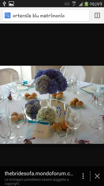 Fiori blu...consigli?! - 4