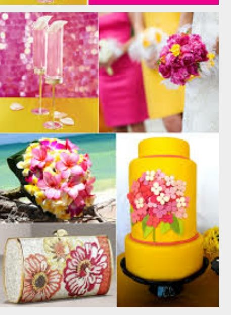 Non so cosa fareeee - 1