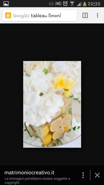 Tableaux tema limoni - 1