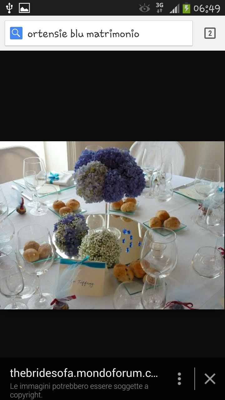 Fiori blu...consigli?! - 4