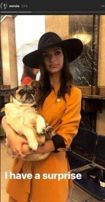 Emily ed il suo cane