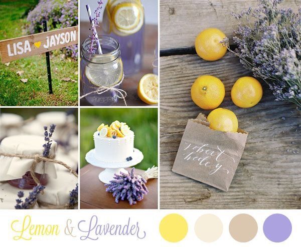 Tema lavanda e.. - 2