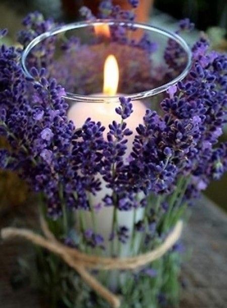 Tema lavanda e.. - 4