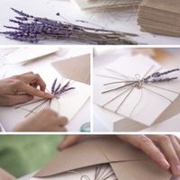 Tema lavanda e.. - 1