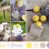 Tema lavanda e.. - 2