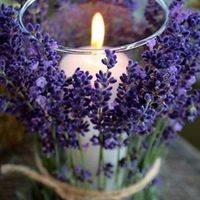 Tema lavanda e.. - 4