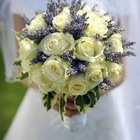 Tema lavanda e.. - 6