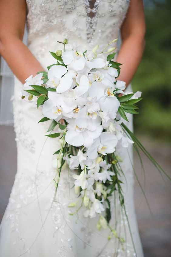 Bouquet. - 1