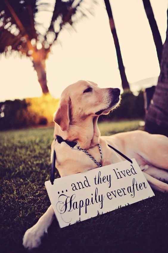 The end.