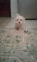 Mattia. 