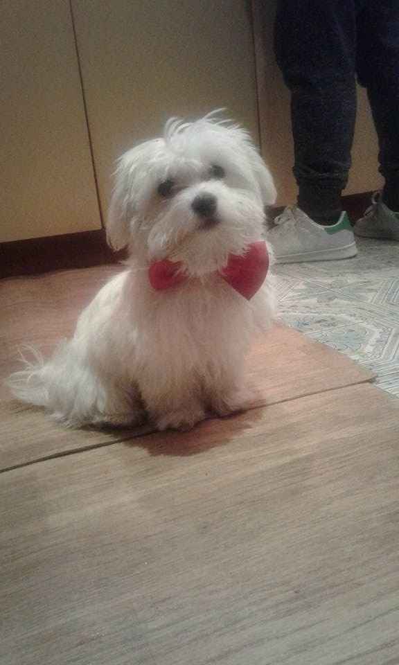 Mattia. 