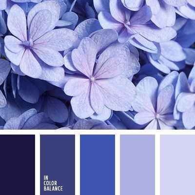Colori. 