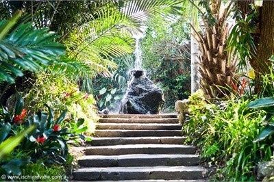 La Mortella. 