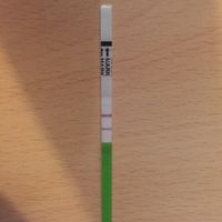 Sto impazzendo aiuto - 1